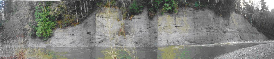 Photo pan of the Englishman River claybanks in January 1998 claybanksjan1998.jpg