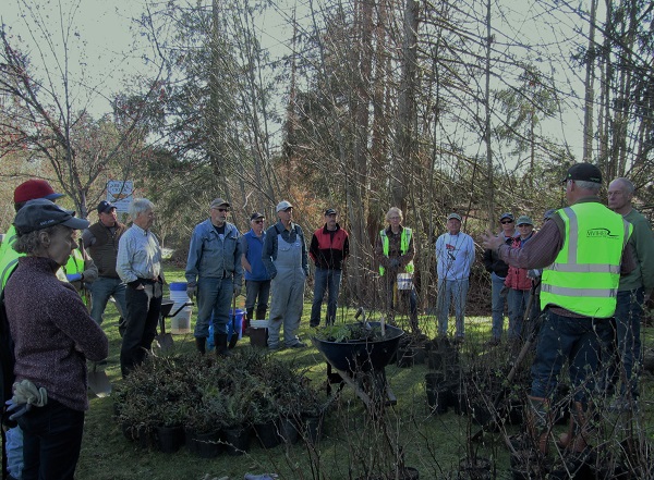 ShelllyCreekPlanting