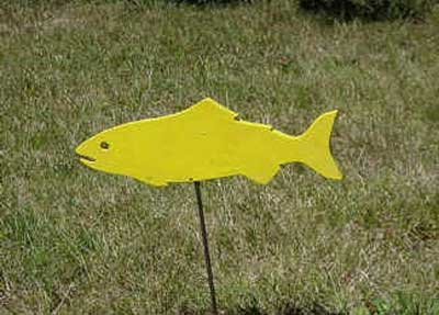 MVIHES Yellow fish for Salmon Friendly Lawn