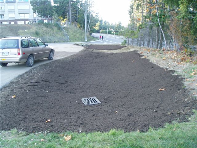 raingarden10.jpg