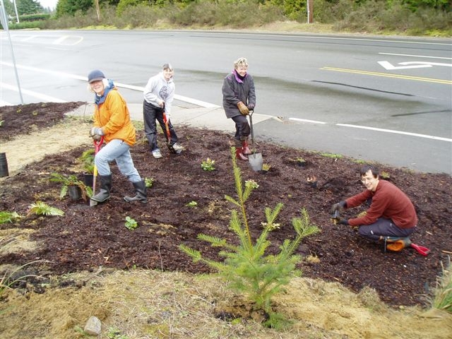 raingarden11.jpg