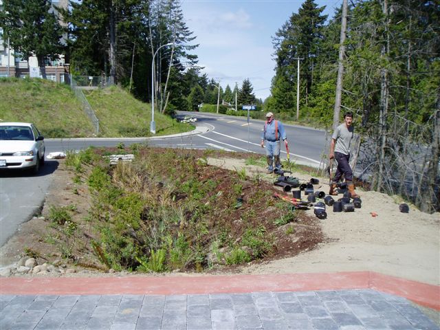 raingarden12.jpg