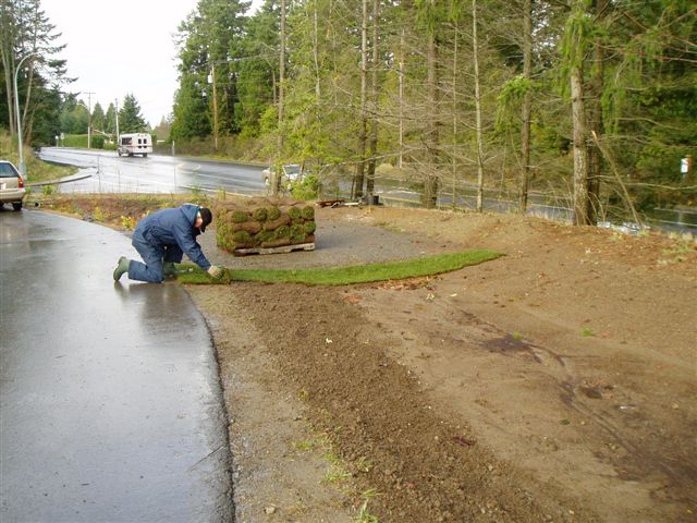 raingarden13.jpg