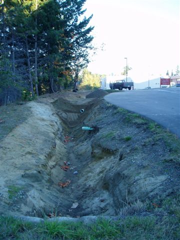 raingarden7.jpg